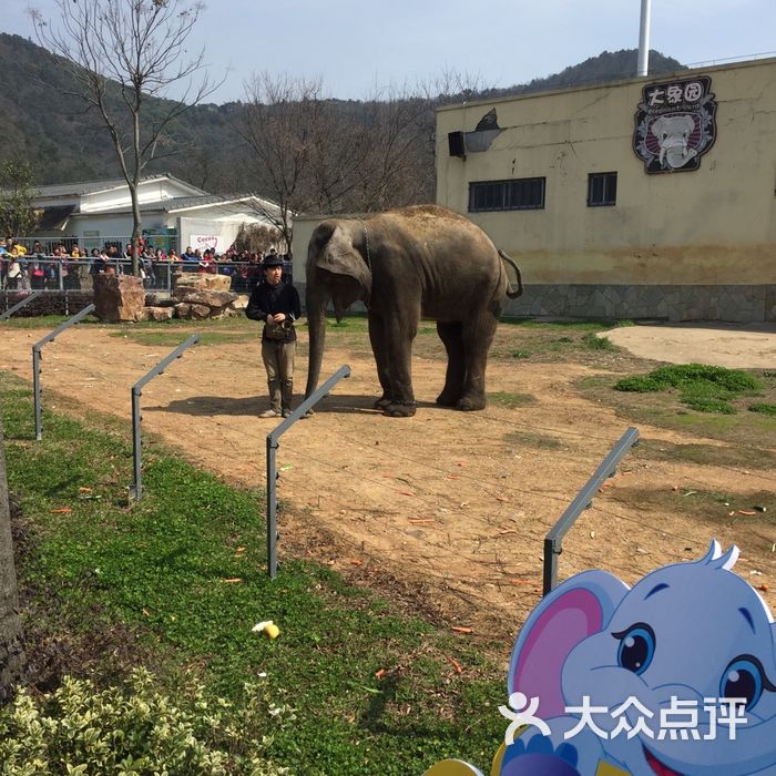 無錫動物園·太湖歡樂園