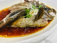 清蒸青斑鱼-双井轩(双井店)