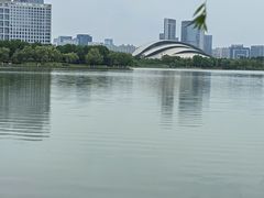 -天鹅湖体育公园