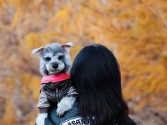 -FAELING PETS美天灵宠物(合生汇店)
