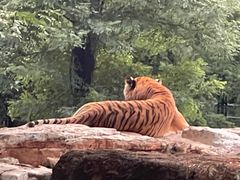 -秦皇岛野生动物园