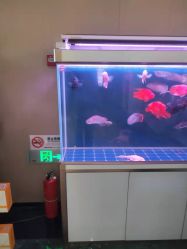 -铂诗玥医美