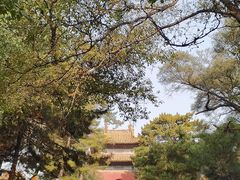 -沈阳市东陵公园