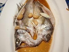 葱椒鲈鱼-绿茶餐厅(布吉万象汇店)