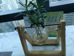 -龙之梦万丽酒店青餐厅