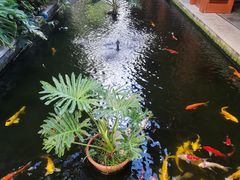 -三亚亚龙湾五号度假别墅酒店