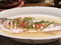 清蒸白鱼-二十八里太湖船菜(吉祥路店)