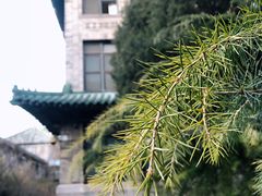 -北京协和医院(东单院区)