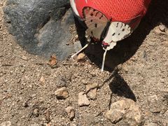 -碓臼峪自然风景区