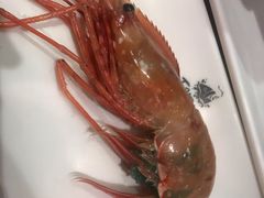 -大渔之观(安贞店)
