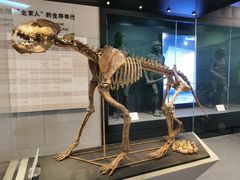 -北京周口店北京人遗址博物馆