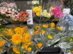 -鹿岛生活(熙地港店)