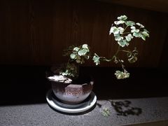 店内布置-竹里馆 ·茶食(奥体店)