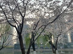 -西北湖绿化广场