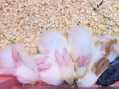 -正佳雨林生态植物园