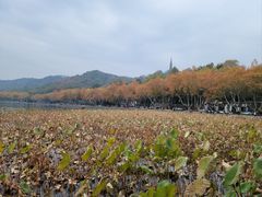 -北山街历史文化街区