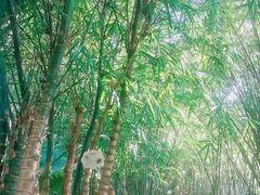 -晓港公园