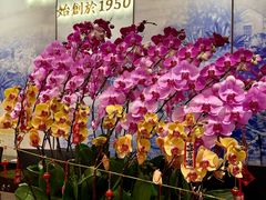 -顺德渔村·岭南一号