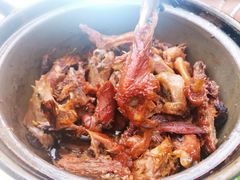 姜母鸭-斯丹姜母鸭·古法干香(涂门街总店)