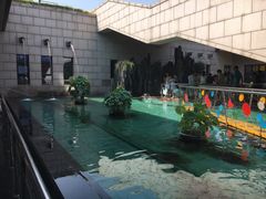 -陕西自然博物馆