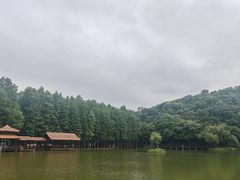 -采石矶景区