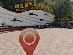 -西双版纳原始森林公园