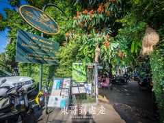 -Fern Forest Cafe
