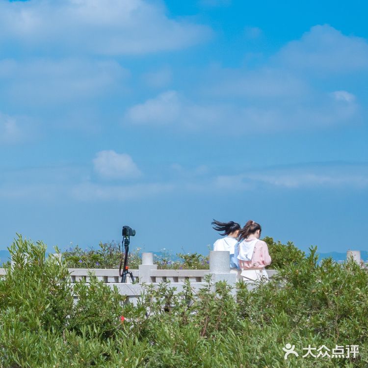 东山岛｜苏峰山环岛路，看蓝天白云和大海 