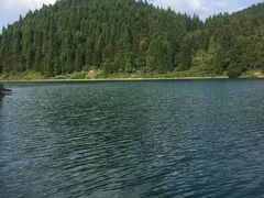 -武陵山森林公园