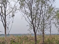 -绿堤公园