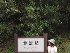 -千岛湖龙川湾