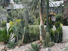 -自由生长植物工作室(深港花卉中心店)