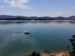 -广州市流溪河国家森林公园