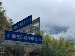 -长寿村