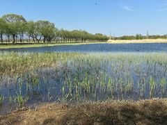 -野鸭湖国家湿地公园