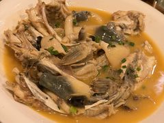 -9号小厨师(端平桥店)