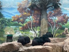 -鄂尔多斯野生动物园