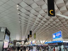 -郑州新郑国际机场-T2航站楼