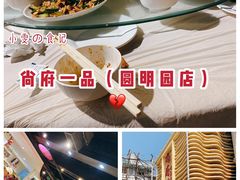-尚府一品·烤鸭·新京菜(圆明园店)