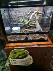 -酷嗒动物文化乐园(cutezoo西溪乐天城店)