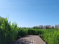 -永定河休闲森林公园