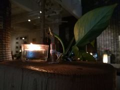 -瓦库茶馆17号(海汇港店)