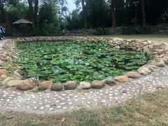 -老木棉·匠园