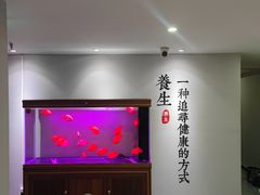 -金蚁康•经络调理•肩颈按摩(万达金街店)