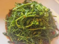 狗牙儿-代木儿回锅肉