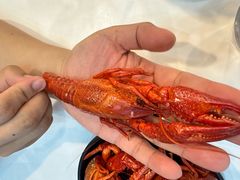 -老鄞江清水龙虾•赵赵家(江北店)