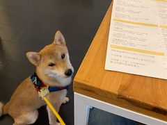-Egg•Allday Brunch(襄阳北路店)