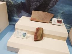 -辽宁古生物博物馆