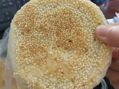 -老字号张道鸡火烧