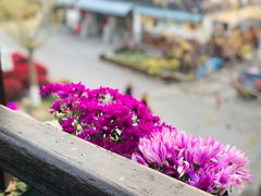 -湾里人家(旺山景区店)